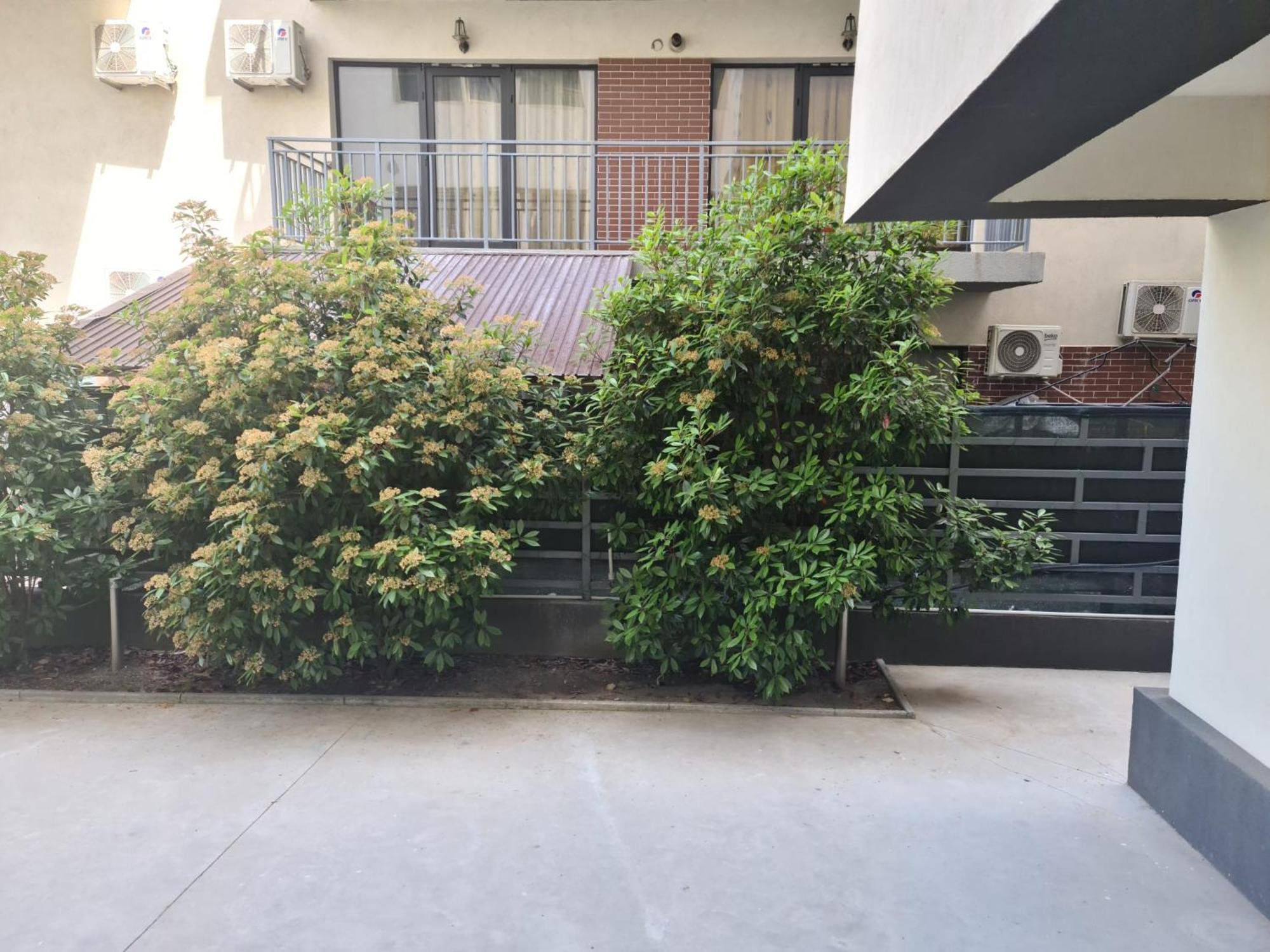 Apartament Deea Năvodari Εξωτερικό φωτογραφία